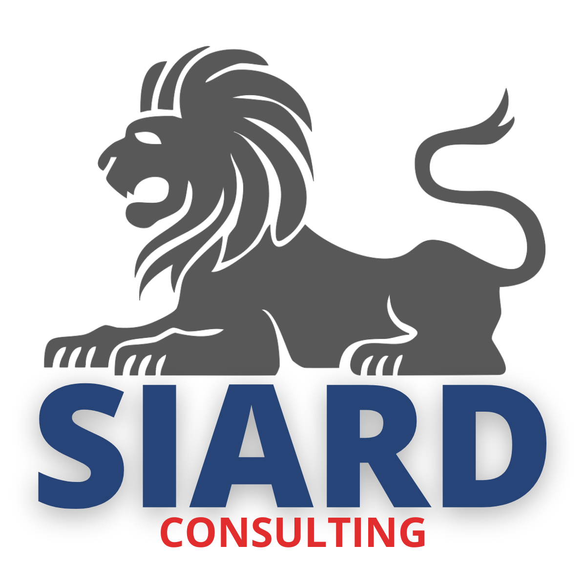 SIARD Consulting